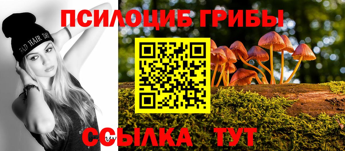 Псилоцибиновые грибы мицелий Новый Уренгой